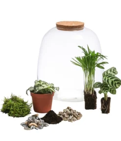 Flaschengarten DIY-Set Mini-Urwald, 8-teilig