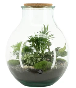 Flaschengarten DIY-Set Tropisches Paradies, 9-teilig, ca. Ø40/H29 cm