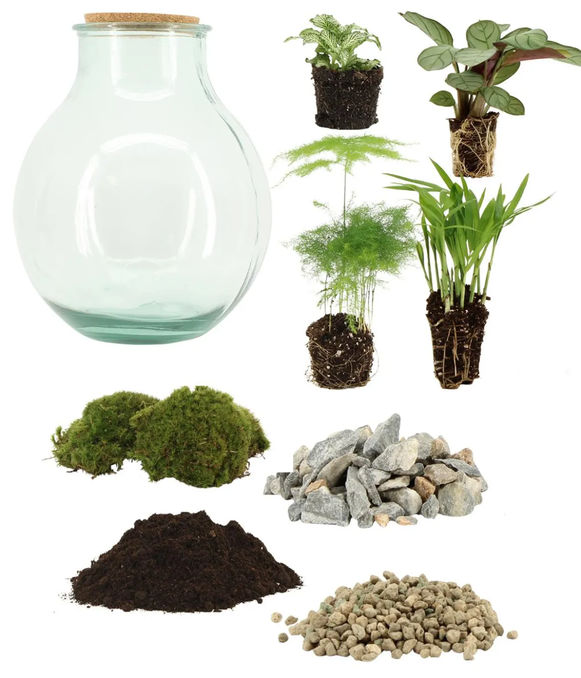 Flaschengarten DIY-Set Tropisches Paradies, 9-teilig, ca. Ø40/H29 cm