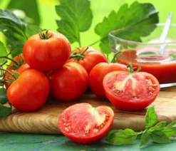 Fleischtomate, rot