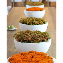 fleur ami Polystone-Pflanzschale Ego Plus, rund