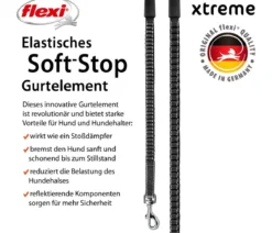 flexi® Hundeleine Gurt-Leine Xtreme, S, 5 m