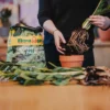 Floragard Aktiv Grünpflanzen- und Palmenerde