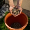 Floragard Bio Pflanzgranulat
