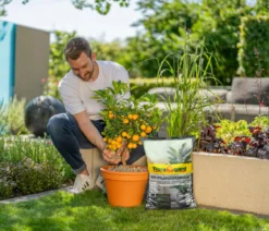 Floragard Bio Pflanzgranulat