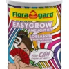 Floragard EasyGrow Anzucht-Kit Loslassen Purple Punch (Feminized), 1 l