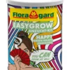 Floragard EasyGrow Anzucht-Kit Happy Green Gelato (Feminized)