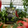 Floragard Green Jungle Mix