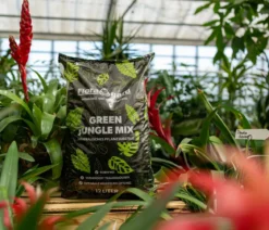 Floragard Green Jungle Mix