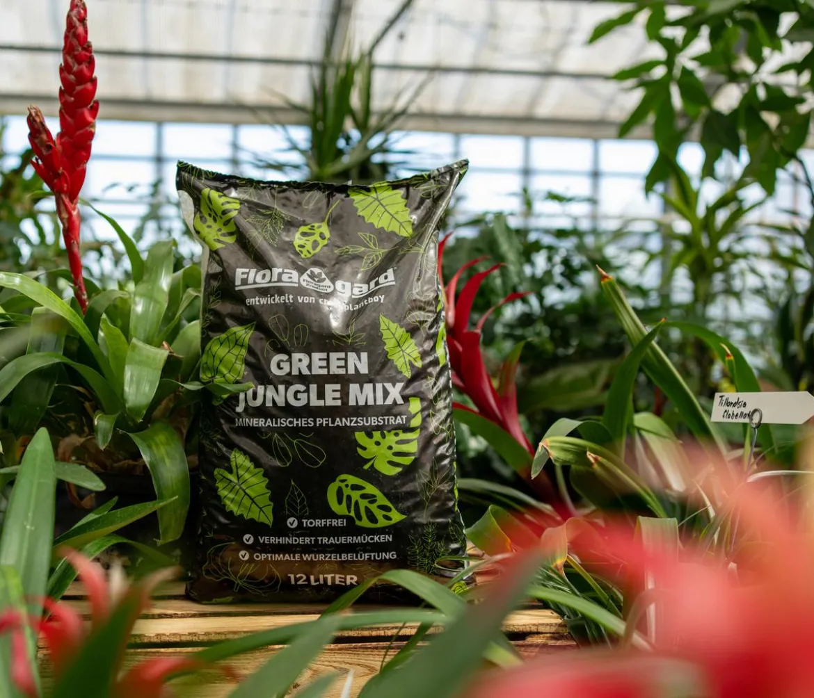 Floragard Green Jungle Mix