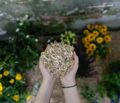 Floragard Miscanthus Mulch, 125 l