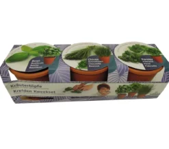 Florex Kräutertopf, 3 Stück