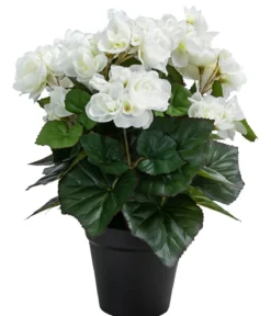 Flower Manufaktur Kunstpflanze Begonie, ca. H33 cm
