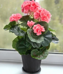 Flower Manufaktur Kunstpflanze Geranie, ca. H33 cm