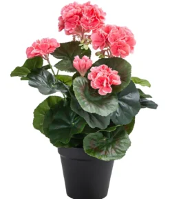 Flower Manufaktur Kunstpflanze Geranie, ca. H33 cm