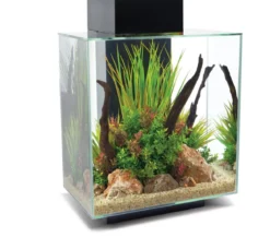 FLUVAL® Aquarium-Set Edge 2.0, 46 Liter