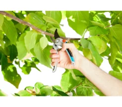 GARDENA Alu-Gartenschere B/L²
