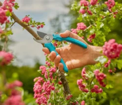 GARDENA Gartenschere EasyCut Tray