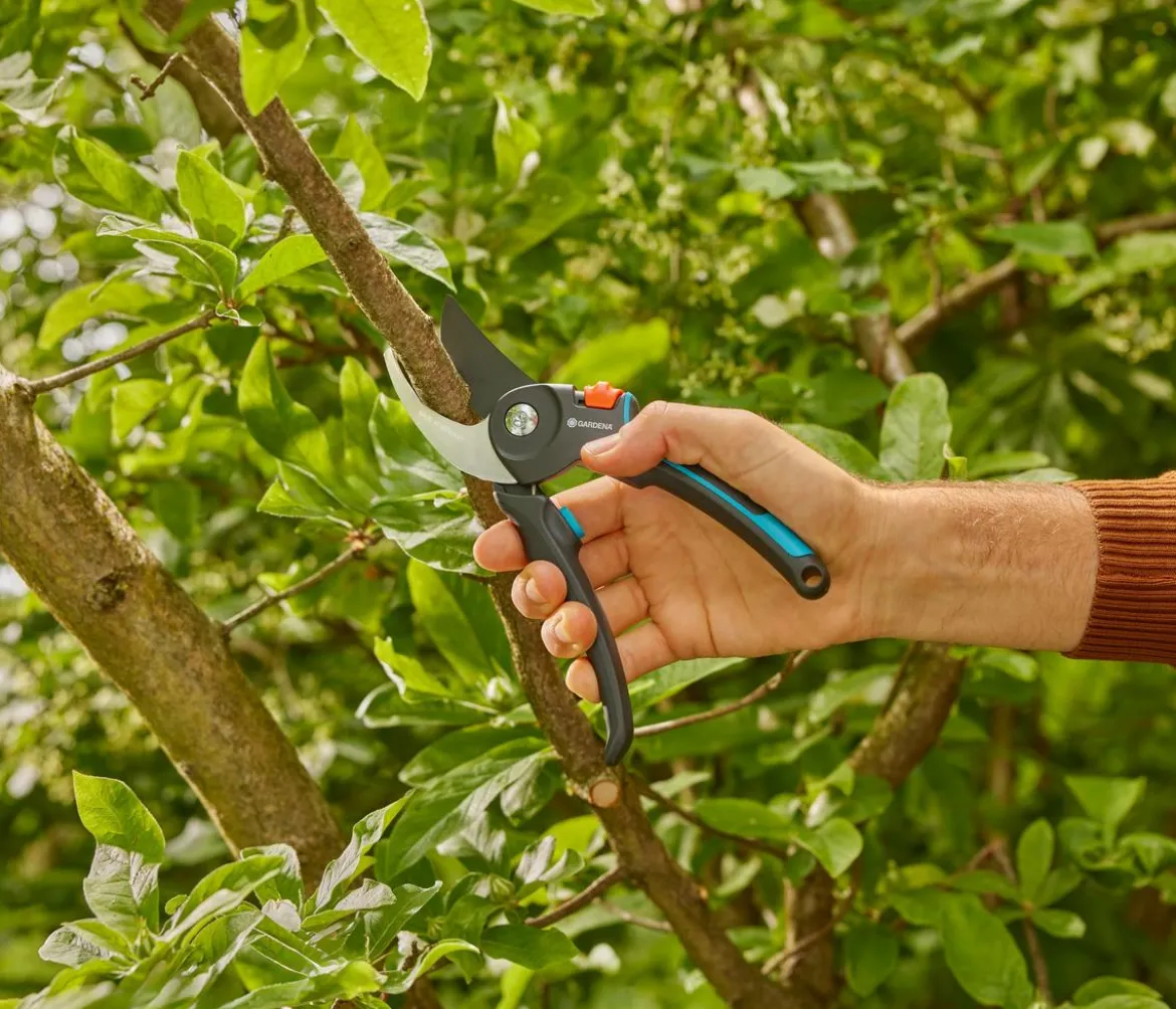 GARDENA Gartenschere PremiumCut Pro Frisches Holz