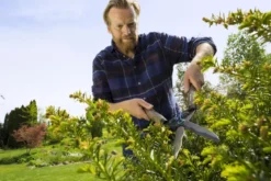 GARDENA Heckenschere NatureCut