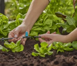 GARDENA Micro-Drip-System Kleinflächendüse, 10 Stk.