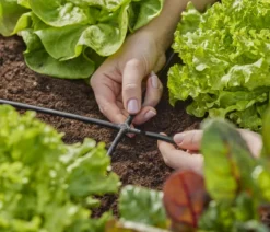 GARDENA Micro-Drip-System Kreuzstück, 3/16