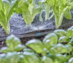 GARDENA Micro-Drip-System Sprühdüse 180 Grad, 5 Stk.