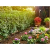 GARDENA Micro-Drip-System Start-Set Pflanzreihe S