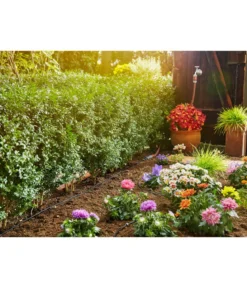 GARDENA Micro-Drip-System Start-Set Pflanzreihe S