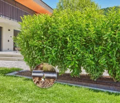 GARDENA Micro-Drip-System Tropfbewässerung-Set für Hecken & Büsche