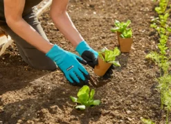 GARDENA Pflanz- und Bodenhandschuh