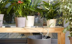 GARDENA Urlaubsbewässerung City Gardening