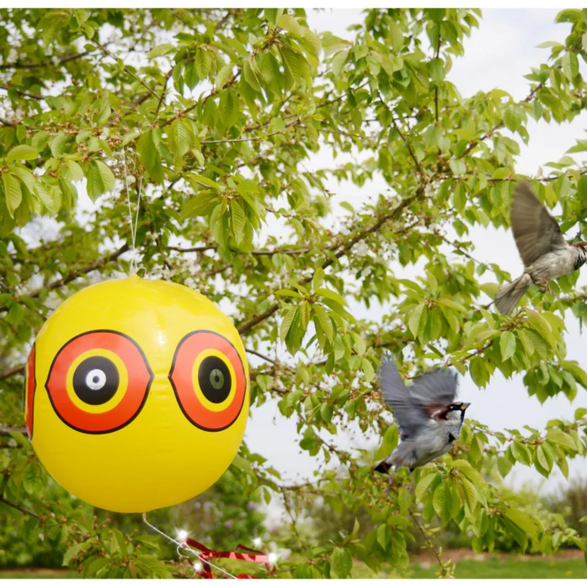 Gardigo Vogelfrei Ballon
