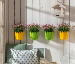 Garten-Nelke 'Peach Party'