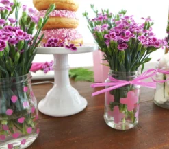 Garten-Nelke 'Pink Kisses®'