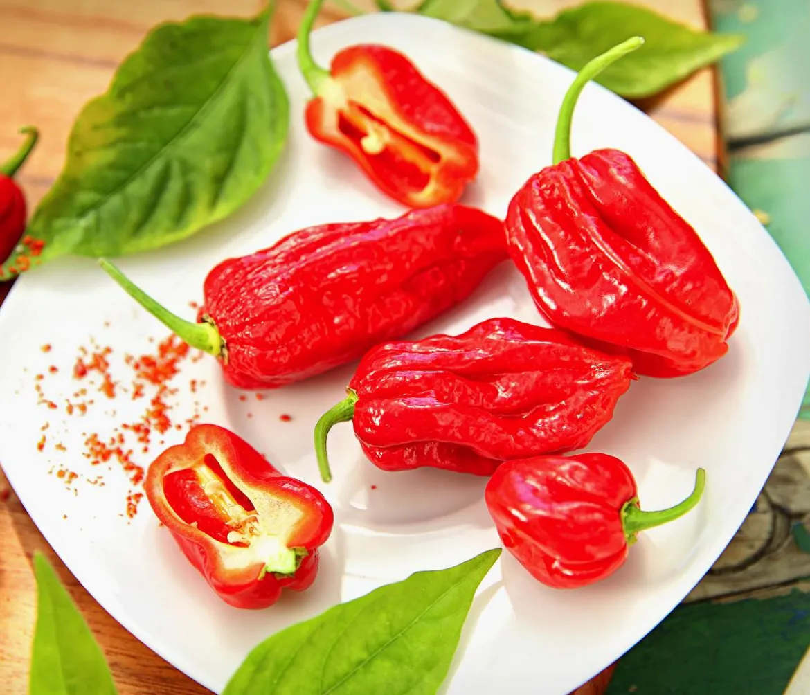 Geisterchili