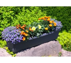 Geli Kunststoff-Blumenkasten Aqua Andalucia