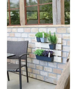Geli Kunststoff-Pflanzkasten Easy, rechteckig, ca. B37/H9,5/T10 cm