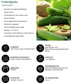 Gemüse-Set Brotzeit, 6-teilig