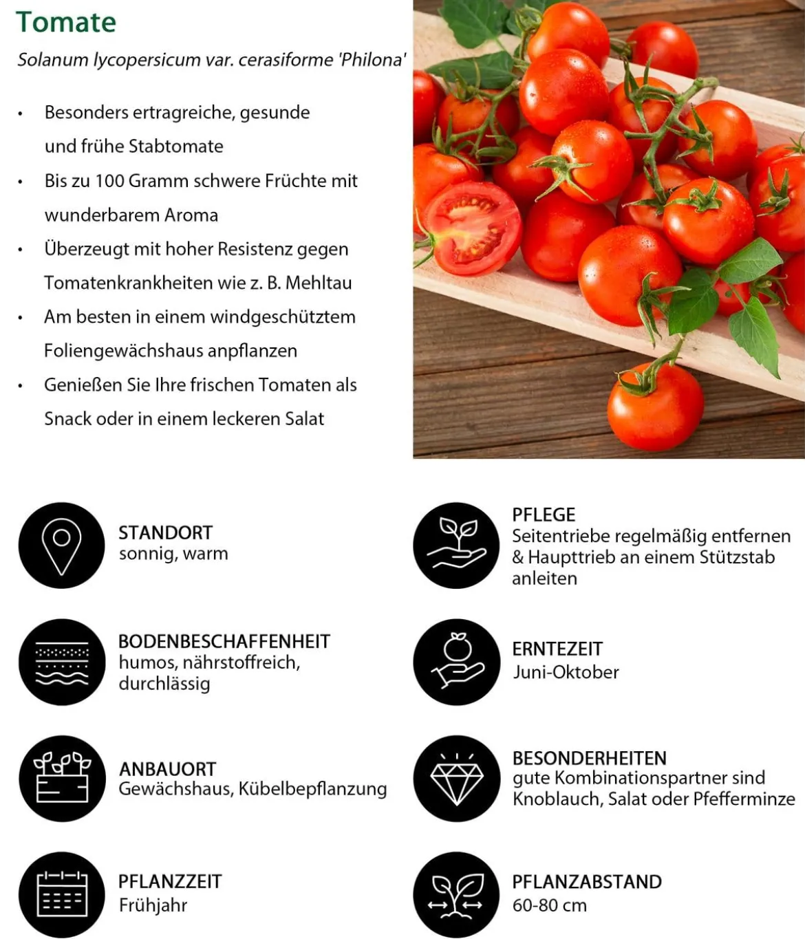 Gemüse-Set Brotzeit, 6-teilig