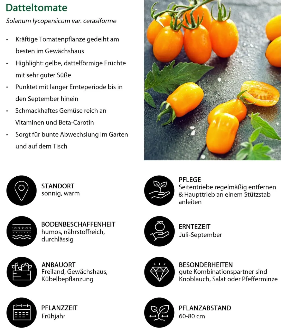 Gemüse-Set Buntes Snackgemüse, 6-teilig