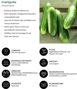 Gemüse-Set Buntes Snackgemüse, 6-teilig