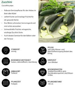 Gemüse-Set Grillparty, 6-teilig
