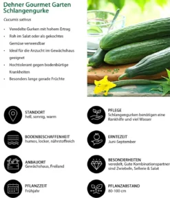 Gemüse-Set Gurkensalat, 3-teilig