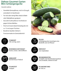 Gemüse-Set Gurkensalat, 3-teilig