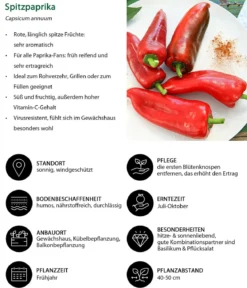 Gemüse-Set Schärfetest, 6-teilig