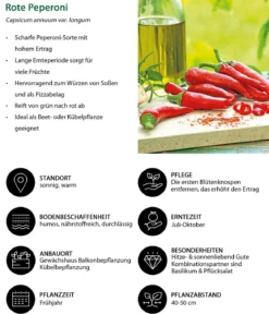 Gemüse-Set Schärfetest, 6-teilig