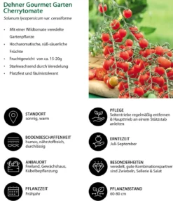 Gemüse-Set Tomatengenuss, 6-teilig
