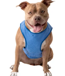 GF PET® Elastofit® Hundekühlweste