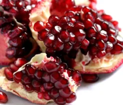 Granatapfel